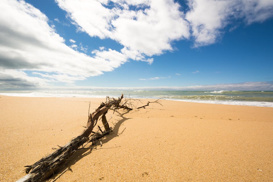 Email Marketing Agency Sunshine Coast — For Lifestyle, Wellness & E-Commerce Brands